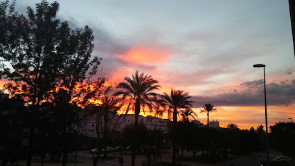 Imagen de Ajuntament De Carcaixent situado en Carcaixent, Valencia