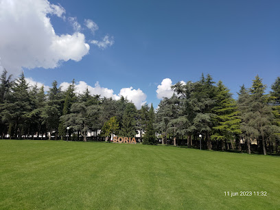 Imagen de Alameda de Cervantes de Soria situado en Soria, Soria