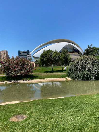 Imagen de Antiguo Cauce del Río Turia situado en Valencia, Valencia