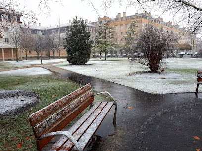 Imagen de Araña situado en Zizur Mayor, Navarra