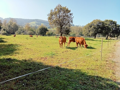 Imagen de Área Recreativa Castañeda situado en nan, Cantabria