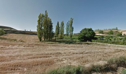 Imagen de Área Recreativa situado en Grisaleña, Burgos