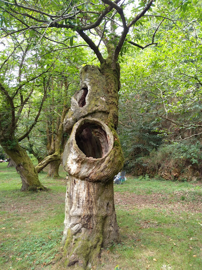 Imagen de Area Recreativa Vigonzalez situado en nan, Asturias