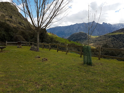 Imagen de Área recreativa Asiegu situado en nan, Asturias