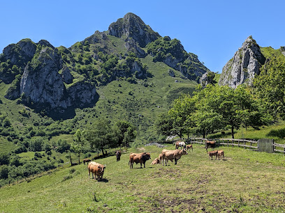 Imagen de Área recreativa Campa Felguera situado en Laviana, Asturias