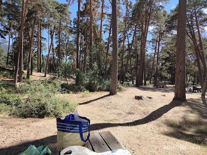 Imagen de Área recreativa Los Asientos situado en Real Sitio de San Ildefonso, Segovia