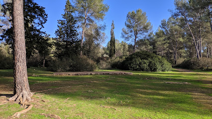 Imagen de Área recreativa Sa Comuna de Lloret situado en Lloret de Vistalegre, Balearic Islands