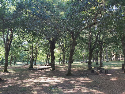 Imagen de Área recreativa da Veiga do Olmo situado en Castroverde, Lugo