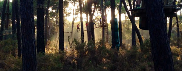 Imagen de Aventura Amazonia Pelayos: parque de multiaventura y tirolinas. Despedidas, Cumples y Teambuilding situado en Pelayos de la Presa, Madrid