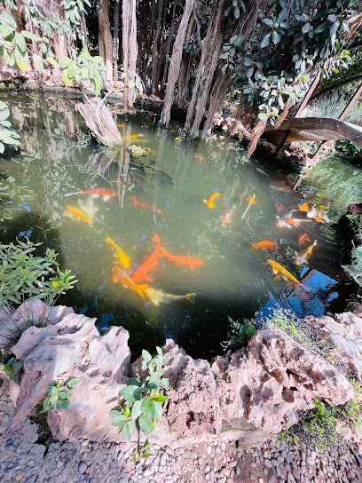 Imagen de Balsa del Sapo Parque Ornitológico y Centro de Interpretación situado en Las Norias de Daza, Almería