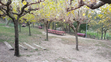 Imagen de Barbacoa Municipal situado en Sant Climent Sescebes, Girona