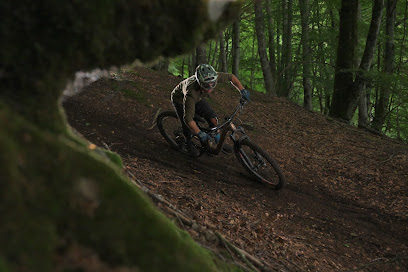 Imagen de Basaburua MTB situado en Jauntsarats, Navarra