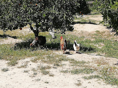 Imagen de Bioescuela La Hornera situado en Molina de Segura, Murcia