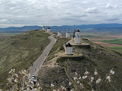 Imagen de Birding La Mancha situado en Villafranca de los Caballeros, Toledo