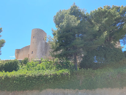 Imagen de Bosque de Bellver - Jovellanos situado en Palma, Balearic Islands