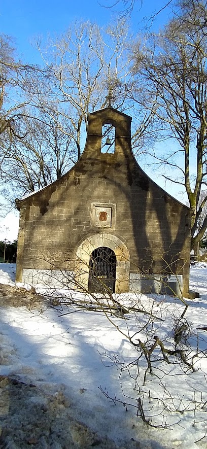 Imagen de Campu San Roque situado en Tineo, Asturias