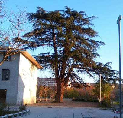 Imagen de Casa Gurbindo situado en Pamplona, Navarra