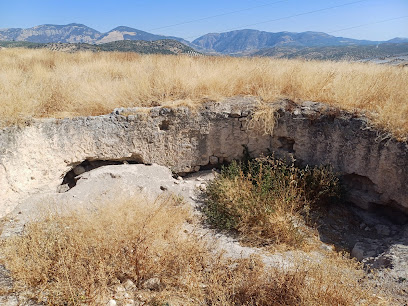 Imagen de Cerro de los Infantes situado en Pinos Puente, Granada