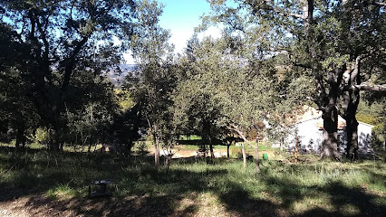 Imagen de Colonia Seidia situado en Benassal, Castellón