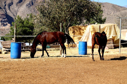 Imagen de Cortijo Colorao Granja escuela situado en Berja, Almería