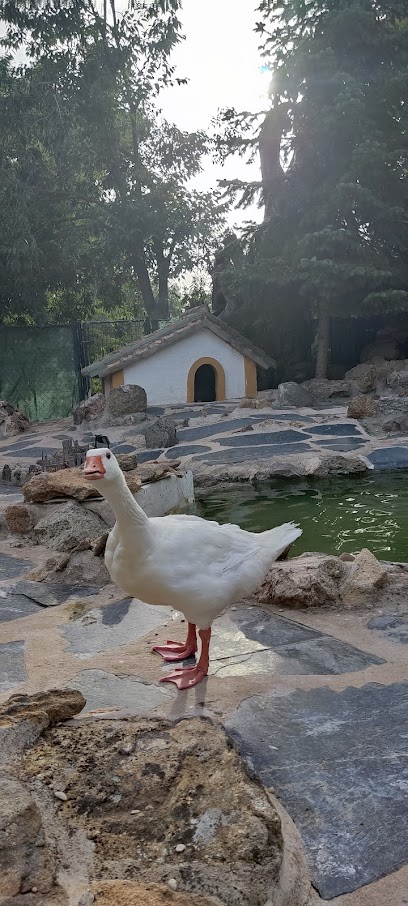 Imagen de De Oca A Oca situado en Toledo, Toledo