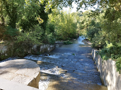 Imagen de Desembocadura del río Esgueva situado en Valladolid, Valladolid