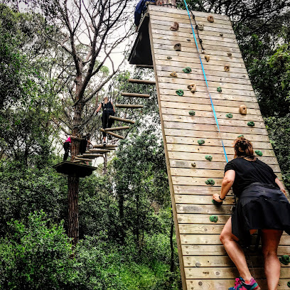 Imagen de El Bosc Vertical Dosrius situado en Canyamars, Barcelona