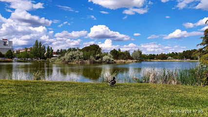 Imagen de Entorno del Lago situado en Laguna de Duero, Valladolid