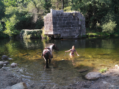 Imagen de Escuela de caballos El Ponyclub situado en Villanueva de la Vera, Cáceres