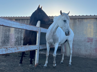 Imagen de Finca Hípica Baraka situado en Azuqueca de Henares, Guadalajara