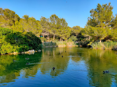 Imagen de Fondo del Mata situado en nan, Tarragona