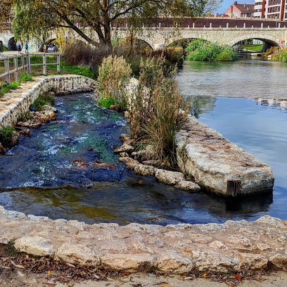 Imagen de Fuente Prior situado en Burgos, Burgos