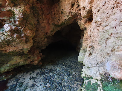 Imagen de Fuente de la Coveta - Río Vinalopó situado en Bocairent, Valencia