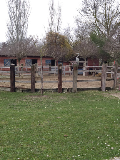 Imagen de Granja Escuela Naturalia situado en Esquíroz, Navarra