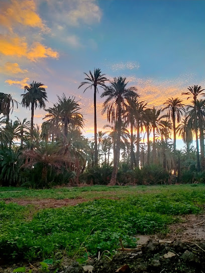 Imagen de HAKUNA MATATA situado en Elche, Alicante