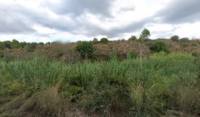 Imagen de Lago de Xoso (joan) situado en Llocnou d'En Fenollet, Valencia