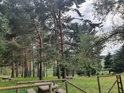 Imagen de Los Pinos - Pradoluengo situado en Pradoluengo, Burgos