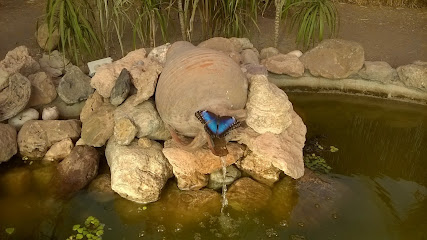 Imagen de Mariposario de Nijar situado en Níjar, Almería