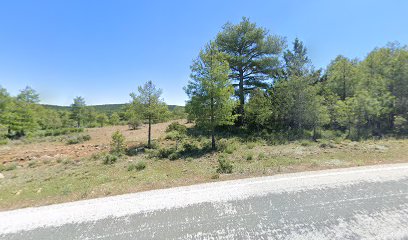 Imagen de Masegosa situado en Masegosa, Cuenca