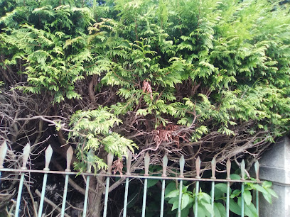 Imagen de Meniños - parque de bólas infantil situado en Gondomar, Pontevedra