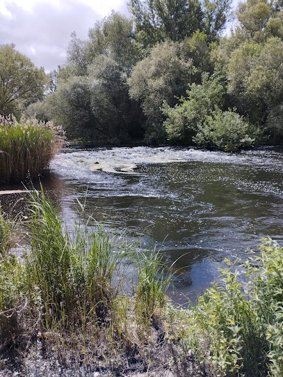 Imagen de Merendero del Parque de La Aldehuela situado en Salamanca, Salamanca