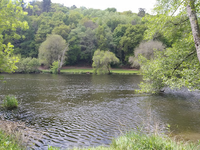 Imagen de Merendero rio Miño situado en Lugo, Lugo