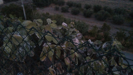 Imagen de NATURICAN situado en Serón, Almería