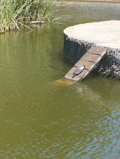 Imagen de PARQUE FINESTRELLES situado en Esplugues de Llobregat, Barcelona