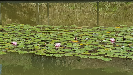 Imagen de Parc de Vallparadís situado en Terrassa, Barcelona