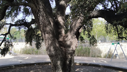 Imagen de Parc de la carrasca situado en Castalla, Alicante