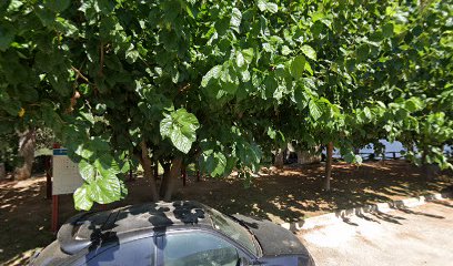 Imagen de Parc infantil situado en Benifallet, Tarragona