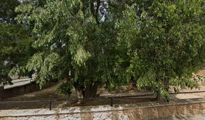 Imagen de Parc infantil situado en La Torre de Claramunt, Barcelona