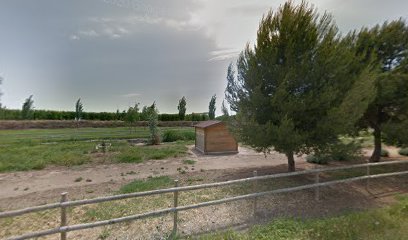 Imagen de Parc infantil situado en Tornabous, Lleida