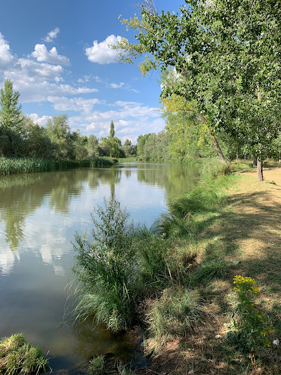 Imagen de Parque Almazán situado en nan, Soria